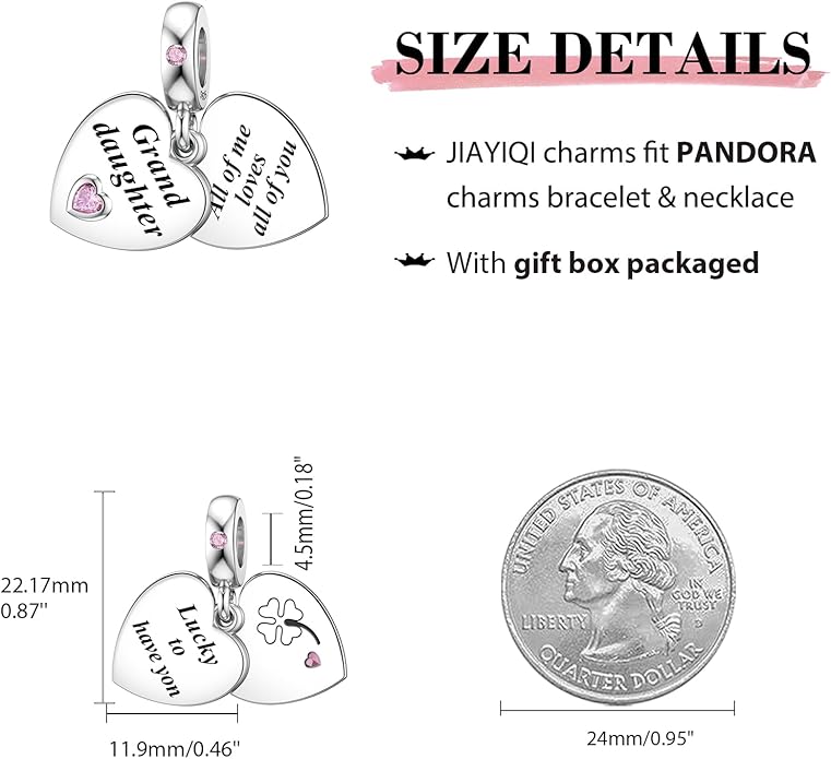 JIAYIQI Mother Sister Daughter Wife Charms Fit Charms Bracelet Necklace with Double Heart Love Charms 925 Sterling Silver Beads for Women Jewelry