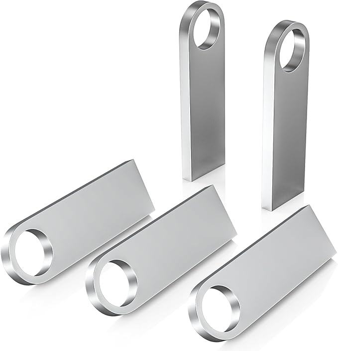 ABLAZE 64GB Flash Drive 5 Pack, Metal USB 2.0 Thumb Drives with Keychains USB Stick Pendrive (Sliver)