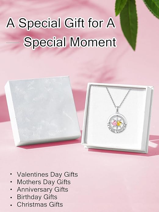 Compass Necklace for Women, Exquisite S925 Valentines Day Anniversary Birthday Gifts for Wife Her Double Birthstone Pendant Jewelry ‘I'd be Lost Without You’
