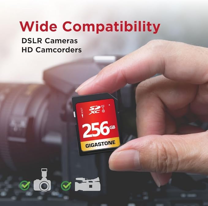 Gigastone 256GB SD Card UHS-I U1 Class 10 SDXC Memory Card High Speed Full HD Video Canon Kodak Olympus Digital Camera, with 1 mini case