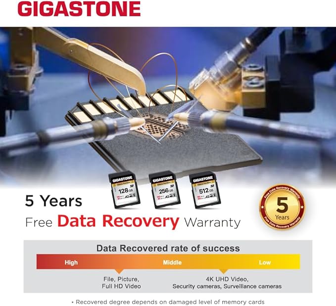 [5-Yrs Free Data Recovery] GIGASTONE 256GB SD Card, 4K Camera Pro MAX, A2 4K SDXC Memory Card High Speed 4K UHD Video Compatible with Canon Kodak Digital Camera, with 1 Mini case