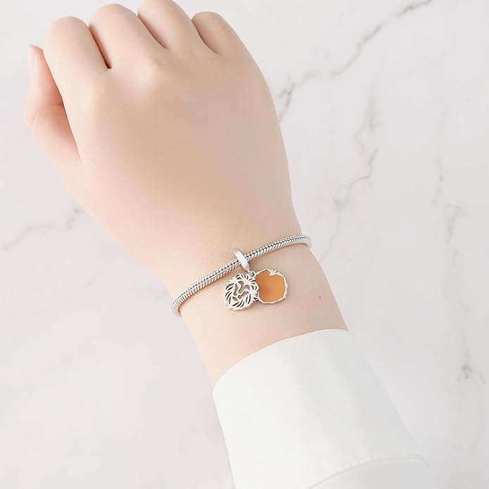 Cute Panda Animal 925 Sterling Silver Charms for Bracelets and Necklace Dangle Pendants Butterfly Elephant Dog Bead Jewelry Present for Women Family Friends
