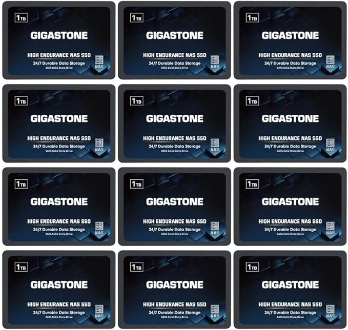 Gigastone 1TB NAS SSD Drive (12-Pack) 24/7 Durable TLC High Endurance RAID Data Storage Network Attached Storage 2.5" SATA Internal Solid State Hard Drives