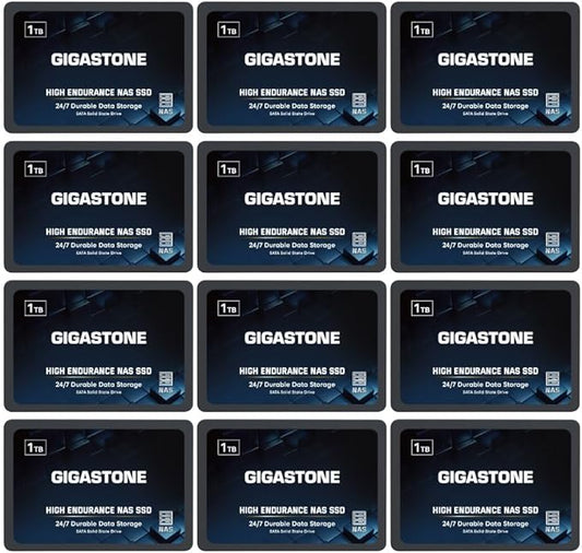 Gigastone 1TB NAS SSD Drive (12-Pack) 24/7 Durable TLC High Endurance RAID Data Storage Network Attached Storage 2.5" SATA Internal Solid State Hard Drives