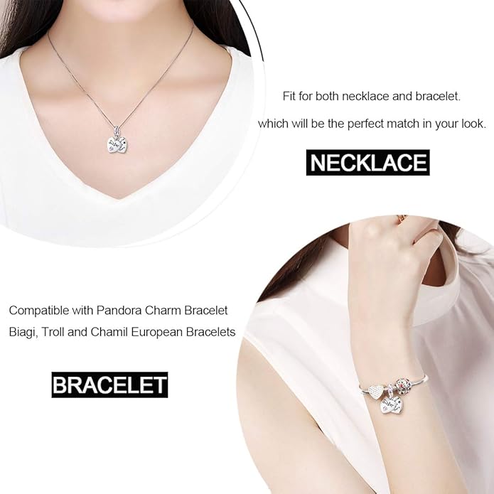 JIAYIQI Mother Sister Daughter Wife Charms Fit Charms Bracelet Necklace with Double Heart Love Charms 925 Sterling Silver Beads for Women Jewelry
