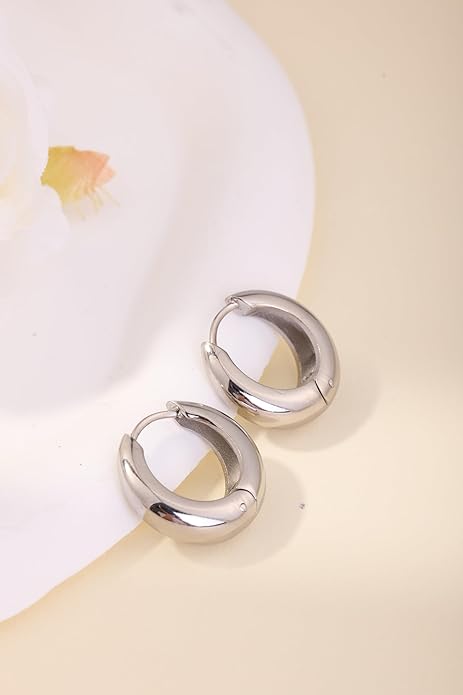 Chunky Small Hoop Earrings for Women 14mm/16mm/19mm Stainless Steel Huggie Earrings Everyday Jewelry Gift for Wife Mom, with Gift Box