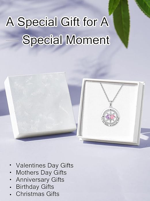 Compass Necklace for Women, Exquisite S925 Valentines Day Anniversary Birthday Gifts for Wife Her Double Birthstone Pendant Jewelry ‘I'd be Lost Without You’