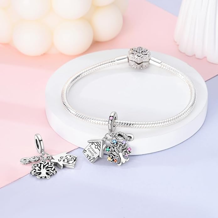 MULA 925 Sterling Silver Charms for Bracelets and Necklaces Airplane Passport Dangle Pendants Beads Butterfly Dragonfly Charms Jewelry Charm for Women