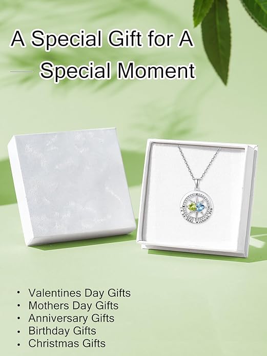 Compass Necklace for Women, Exquisite S925 Valentines Day Anniversary Birthday Gifts for Wife Her Double Birthstone Pendant Jewelry ‘I'd be Lost Without You’