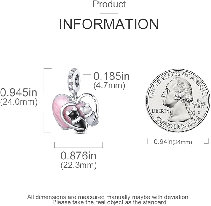MULA 925 Sterling Silver Charms for Bracelets and Necklaces Airplane Passport Dangle Pendants Beads Butterfly Dragonfly Charms Jewelry Charm for Women