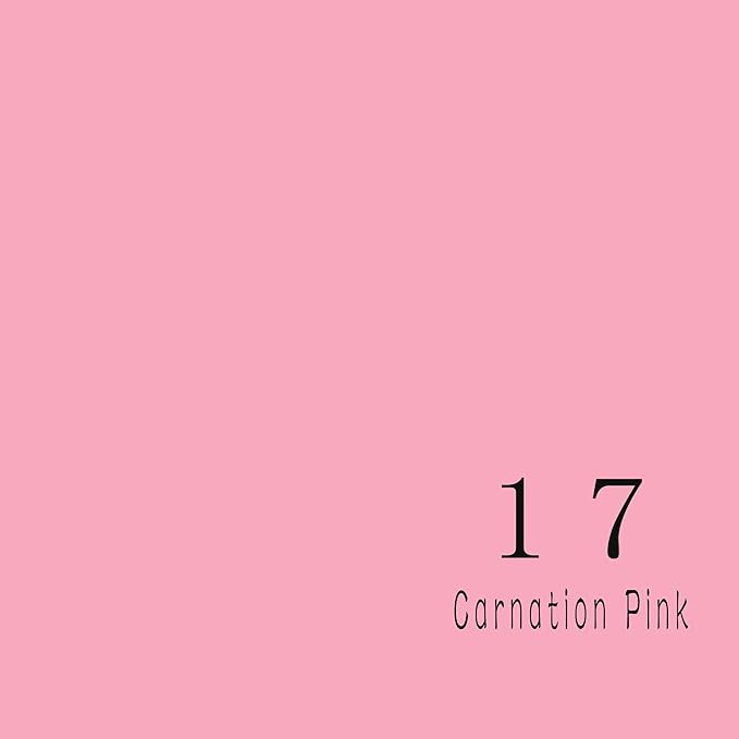 Huamei Seamless Photography Background Paper, Photo Backdrop Paper (8.9x36 Feet, #17 Carnation Pink)