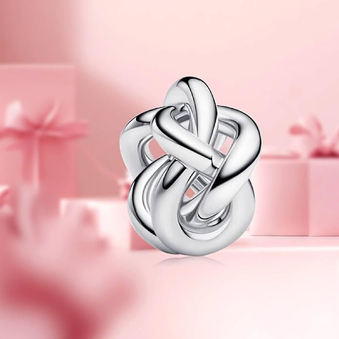 Family Mom Heart Charms 925 Sterling Silver Bead for Bracelets and Necklaces For Women Jewelry Present