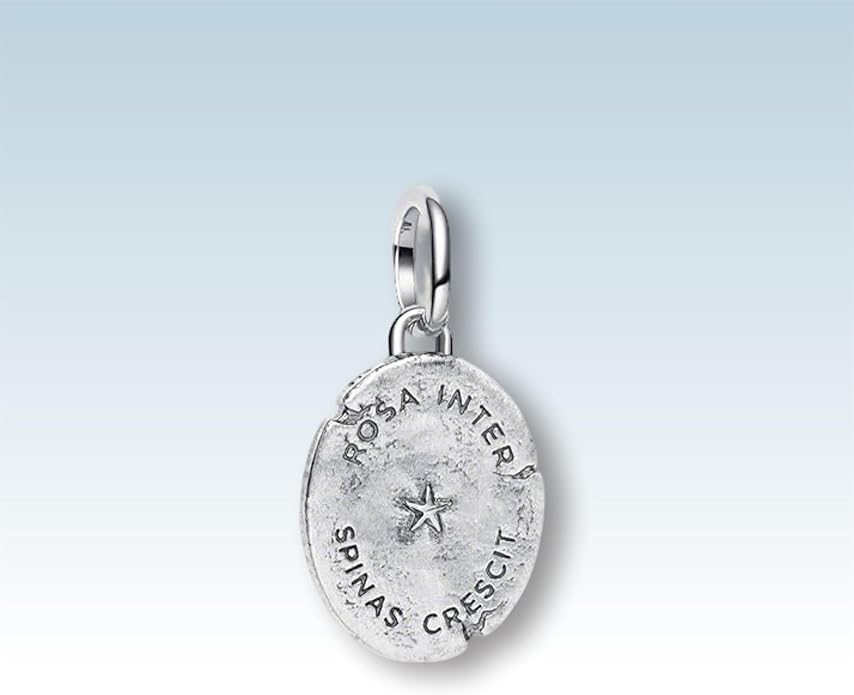 Fashion Charms Compatible for Bracelets,S925 Sterling Silver Charms,For Women Jewelry Present