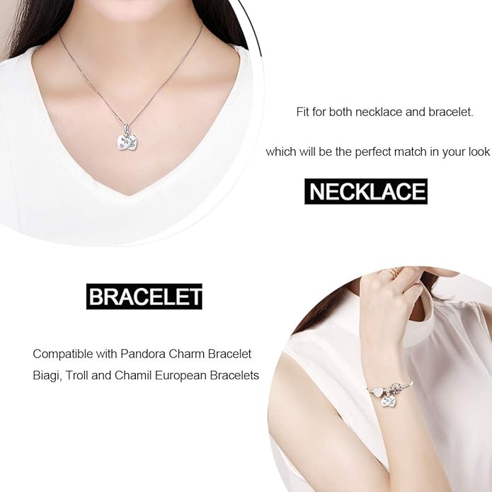 JIAYIQI Mother Sister Daughter Wife Charms Fit Charms Bracelet Necklace with Double Heart Love Charms 925 Sterling Silver Beads for Women Jewelry
