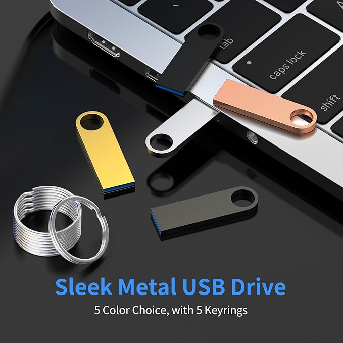 USB 3.0 Flash Drive 64GB 2 Pack, Wooolken High Speed USB 3.0 Thumb Drives Sleek Metal Flash Drives with Keychains, Memory Stick, USB Drive for PC/Computers/Mac/Laptops