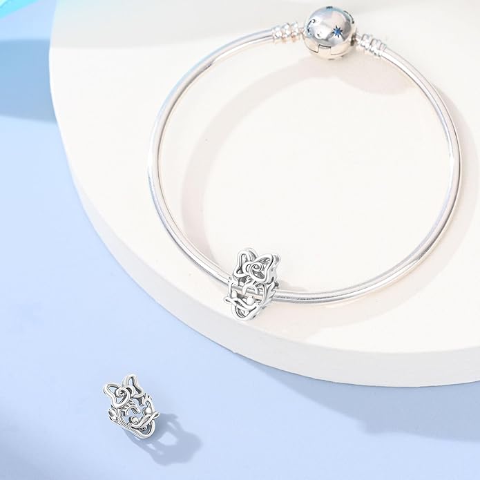 LIGHTDOG 925 Sterling Silver Charm fits Pandora Charm Bracelet Necklaces Pendant Bead Charms Jewelry Gift for Women Family Friends