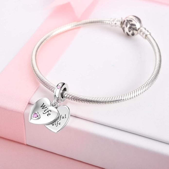 JIAYIQI Mother Sister Daughter Wife Charms Fit Charms Bracelet Necklace with Double Heart Love Charms 925 Sterling Silver Beads for Women Jewelry