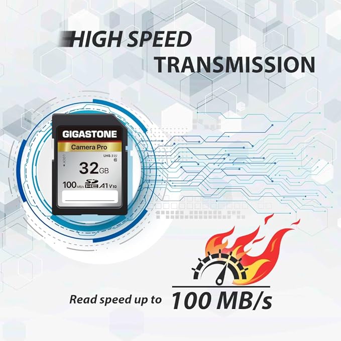 [5-Yrs Free Data Recovery] GIGASTONE 32GB SD Card, Camera Pro, A1 V10 SDHC Memory Card Compatible with SPYPOINT TACTACAM Trail Camera, with 1 Mini Cases