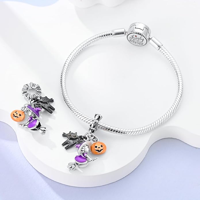 MULA 925 Sterling Silver Charms for Bracelets and Necklaces Airplane Passport Dangle Pendants Beads Butterfly Dragonfly Charms Jewelry Charm for Women