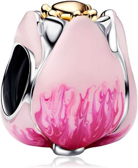 Family Mom Heart Charms 925 Sterling Silver Bead for Bracelets and Necklaces For Women Jewelry Present