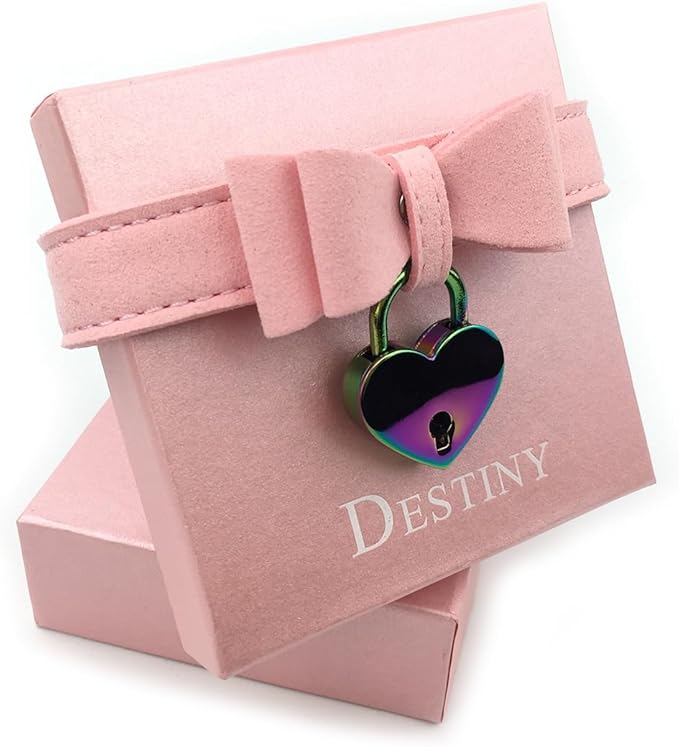 Destiny Love Bell Padlock Choker Collar Necklace Lolita Bow Collar Cat Kitty Velvet Necklace with Heart Lock and Key with Box for Women and Men