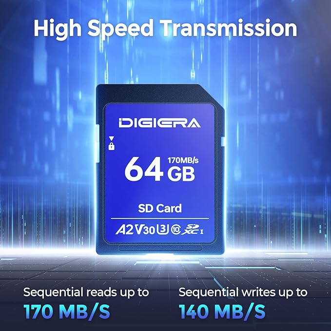 64GB LS100 SDXC UHS-I Memory Card - up to 170MB/s, C10, U3, V30, 4K UHD, SD Card for Computers, Digital Cameras, Home Theatre Devices, Car Navigation Systems (1 Pack)
