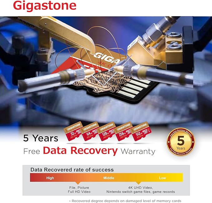 [5-Yrs Free Data Recovery] GIGASTONE 256GB Micro SD Card, 4K Camera Pro, A2 V30 for Smartphone, Gopro, Action Cams, 4K UHD Video, Nintendo-Switch Compatible, Up to 100MB/s, UHS-I U3 C10 with Adapter