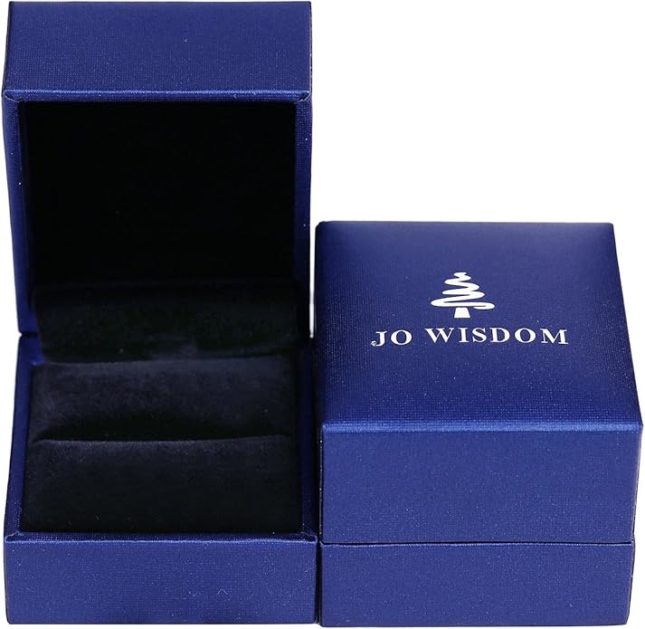 JO WISDOM Promise Ring for Women Sterling Silver Infinity Heart Promise Rings for Her Birthstone Cubic Zirconia Friendship Ring Size 5-12