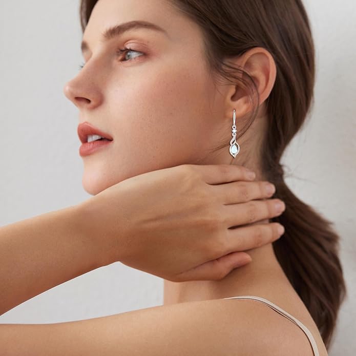 FANCIME Gift for Women Birthstone Dangle Earrings for Her Teardrop Birthstone Earrings S925 Sterling Silver infinity Love Birthday Gifts for Mom Women