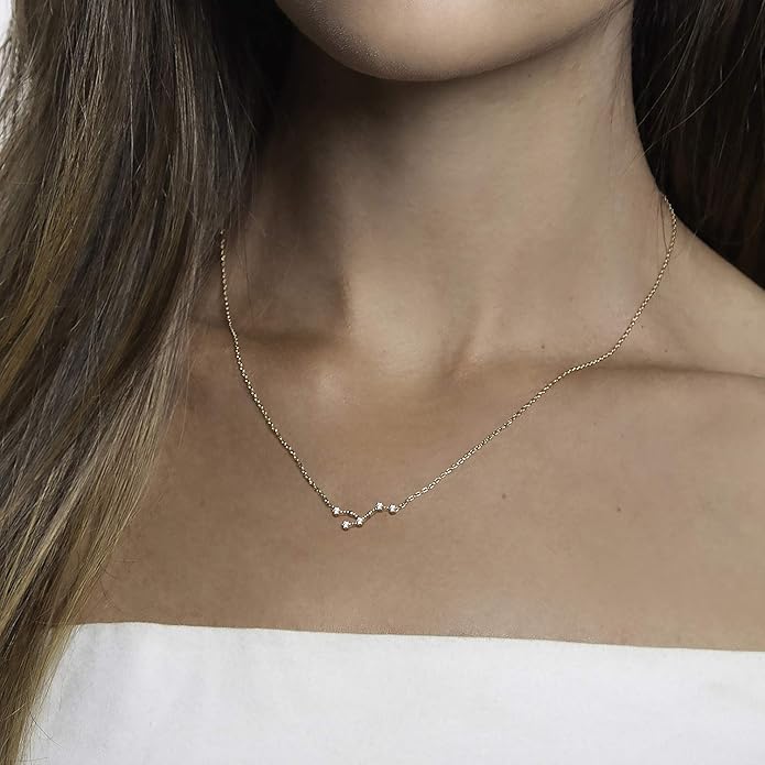 PAVOI 14K Gold Plated Astrology Constellation Horoscope Zodiac Necklace 16-18"