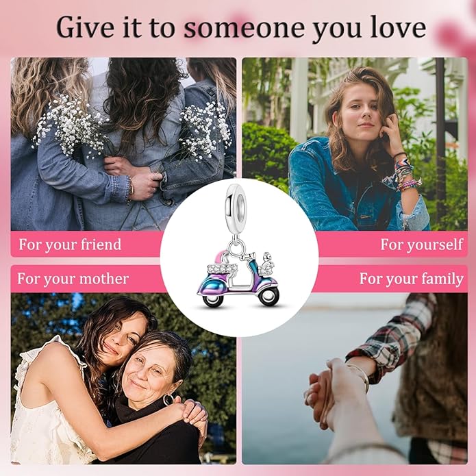 MULA 925 Sterling Silver Charms for Bracelets and Necklaces Airplane Passport Dangle Pendants Beads Butterfly Dragonfly Charms Jewelry Charm for Women