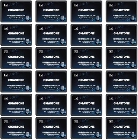 Gigastone 2TB NAS SSD Drive (24-Pack) 24/7 Durable TLC High Endurance RAID Data Storage Network Attached Storage 2.5" SATA Internal Solid State Hard Drives