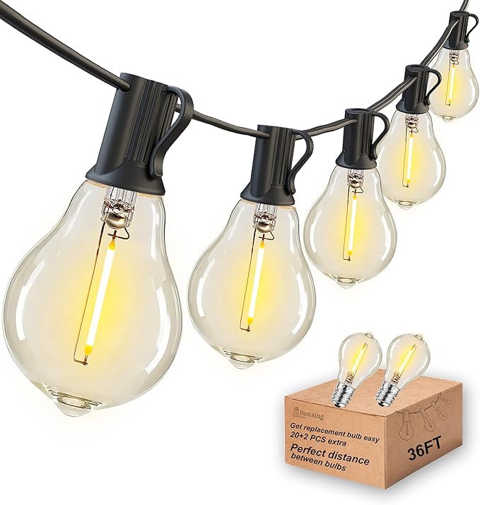 DAMAING LED String Lights Outside 36FT Weatherproof Patio Lights with 22 shatterproof dimmable Bulbs 2200K, Energy Saving Outdoor Lighting for Wedding,Party,Holiday,Backyard,2200K Black Cord.