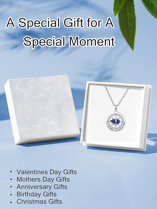 Compass Necklace for Women, Exquisite S925 Valentines Day Anniversary Birthday Gifts for Wife Her Double Birthstone Pendant Jewelry ‘I'd be Lost Without You’