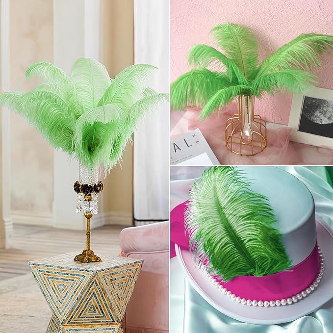 NEWONG 30pcs Fruit Green Ostrich Feathers Natural Bulk 8-10inch(20-25cm) Vase Craft Wedding Home Party Centerpieces Christmas Day Decoration