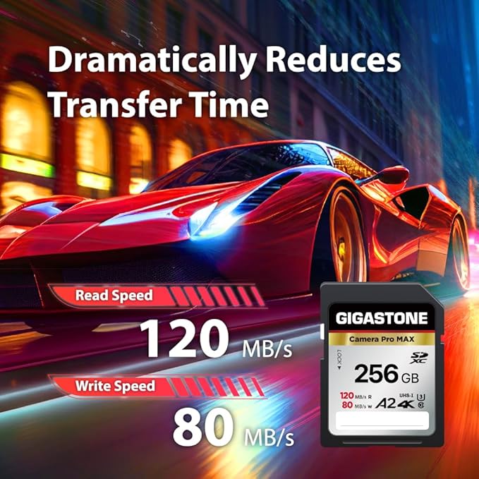 [5-Yrs Free Data Recovery] GIGASTONE 256GB SD Card, 4K Camera Pro MAX, A2 4K SDXC Memory Card High Speed 4K UHD Video Compatible with Canon Kodak Digital Camera, with 1 Mini case