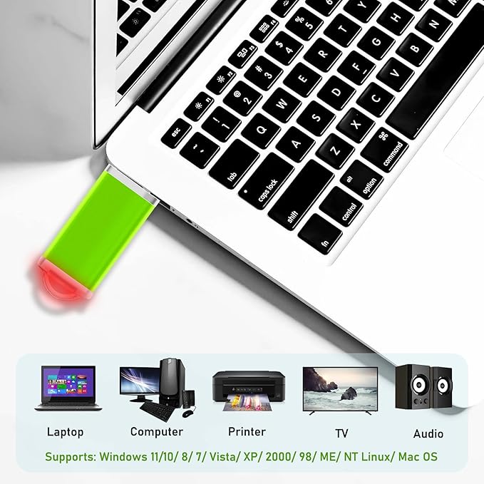 Memorias USB 2GB Flash Drive 50 Pack, USB 2.0 Thumb Drives Bulk Memory Sticks 2GB Fat USB Flash Drives Bulk Jump Drives Multipack Pack of 50 with Lanyard(Green 50 Packs 2 GB)