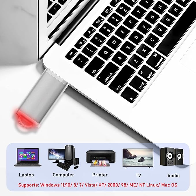USB Thumb Drive 1GB Flash Drives 20 Pack, Nicepicten Memorias USB 2.0 Memory Stick Fat Flash Zip Drive 1 GB Jump Drives Multipack Pendrive with Landards and Lables (Sliver 1GB, 20 Pieces)