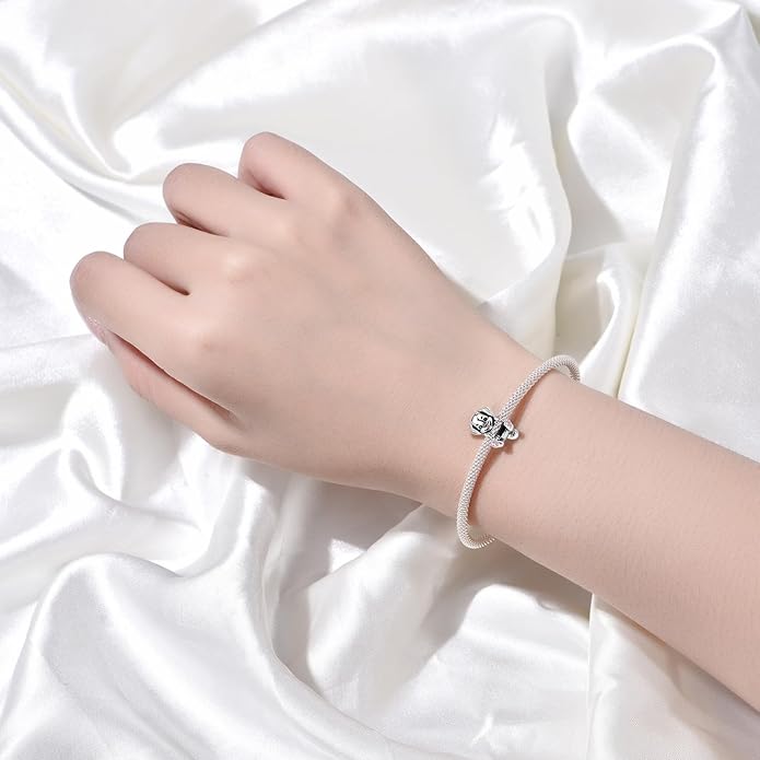Cute Panda Animal 925 Sterling Silver Charms for Bracelets and Necklace Dangle Pendants Butterfly Elephant Dog Bead Jewelry Present for Women Family Friends