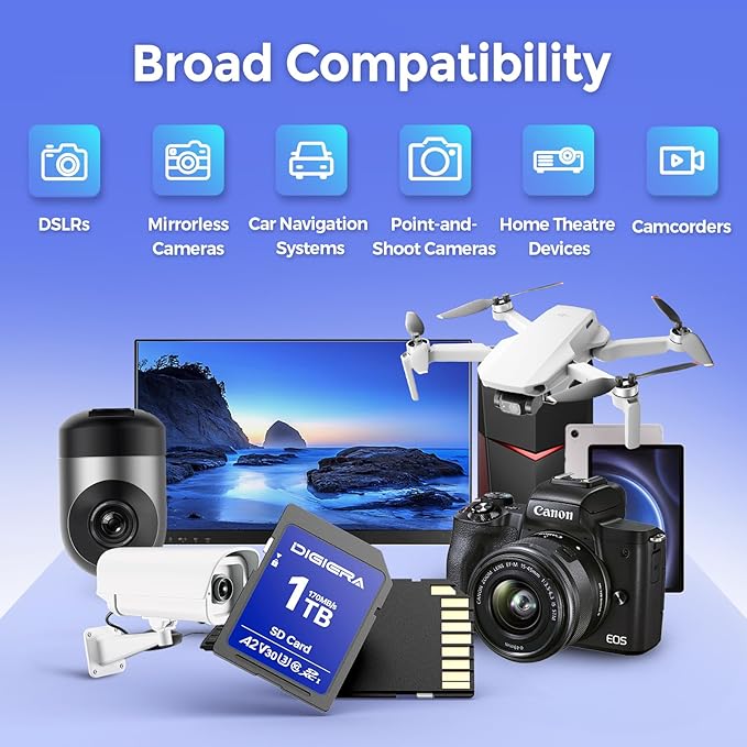 1T LS100 SDXC UHS-I Memory Card - up to 170MB/s, C10, U3, V30, 4K UHD, SD Card for Computers, Digital Cameras, Home Theatre Devices, Car Navigation Systems (1 Pack)
