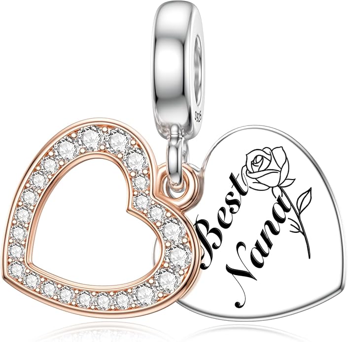 JIAYIQI Mother Sister Daughter Wife Charms Fit Charms Bracelet Necklace with Double Heart Love Charms 925 Sterling Silver Beads for Women Jewelry