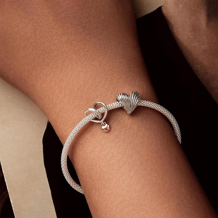 Charm Beads for Women, S925 Sterling Silver Dangle Charm Beads for European Charm Bracelet & Snake Chain Bracelets, Love Family Friendship Butterfly Pet Flower Designs, Gift Box Included