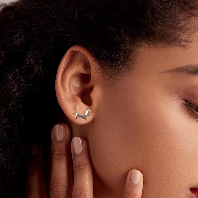 S925 Sterling Silver Stud Earrings for Women, Animal Cat & Dog Studs and Minimal Teardrop Ear Climber, Hypoallergenic Earrings for Sensitive Ears, Gift Box Included