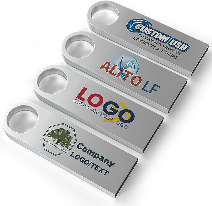 ABLAZE Custom Flash Drive 2GB 10 Pack, Personalized USB with Your Logo Metal Thumb Drives USB 2.0 Memory Stick Pendrive (Sliver)