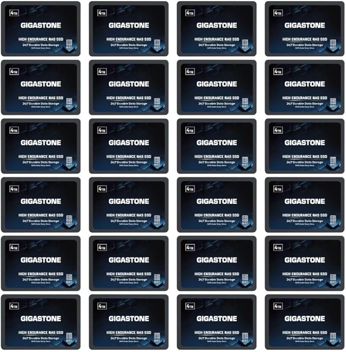 Gigastone 4TB NAS SSD Drive (24-Pack) 24/7 Durable High Endurance RAID Data Storage Network Attached Storage 2.5" SATA Internal Solid State Hard Drives