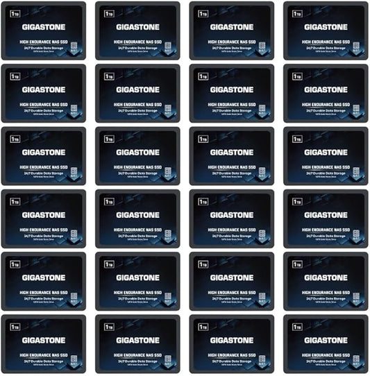 Gigastone 1TB NAS SSD Drive (24-Pack) 24/7 Durable TLC High Endurance RAID Data Storage Network Attached Storage 2.5" SATA Internal Solid State Hard Drives