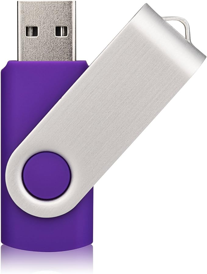 Aiibe 10 Pack 128GB Flash Drive USB Drive Thumb Drives USB 2.0 Memory Stick Jump Drives 128GB USB Flash Drive Bulk (10 Mixed Colors: Black Blue Red Green Orange White Yellow Pink Purple Silver)
