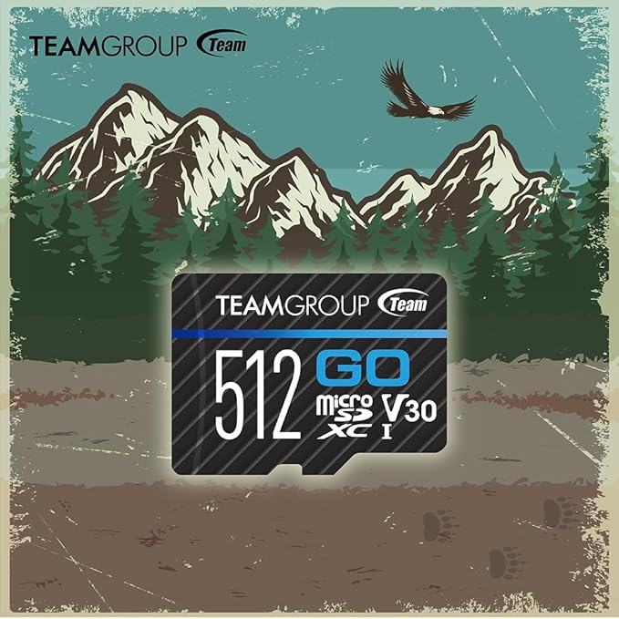 TEAMGROUP GO Card 512GB Micro SDXC UHS-I U3 V30 4K, R/W up to 100/90 MB/s for GoPro & Action Cameras High Speed Flash Memory Card for Outdoor, Sports, 4K Shooting TGUSDX512GU302