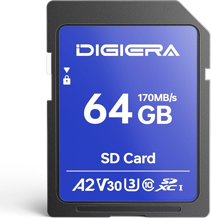 64GB LS100 SDXC UHS-I Memory Card - up to 170MB/s, C10, U3, V30, 4K UHD, SD Card for Computers, Digital Cameras, Home Theatre Devices, Car Navigation Systems (1 Pack)