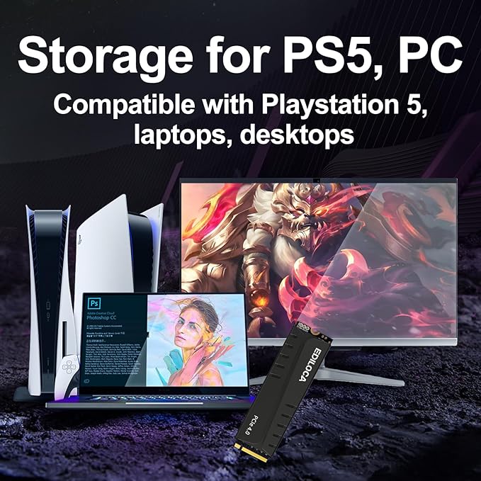 500GB PS5 SSD with Heatsink PCIe Gen4 NVMe M.2 Gaming SSD, 7400MB/s Read, 1GB DRAM Cache, 3D TLC | Internal Solid State Drive Compatible with PS5 & PC(EN855)